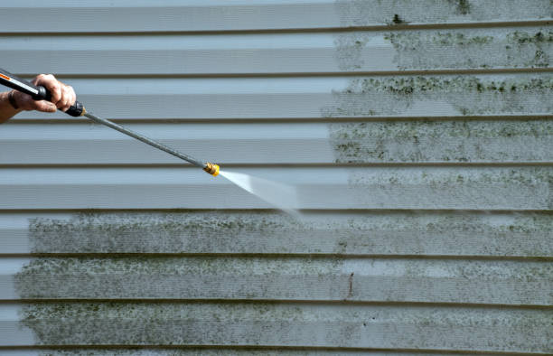 Best Residential Pressure Washing in Morgantown, IN